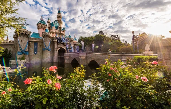 Картинка рассвет, розы, утро, Диснейленд, Disneyland