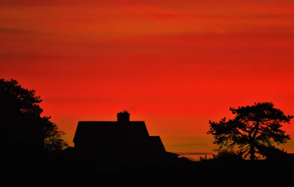 House, trees, morning, sunrise, dawn, vegetation, silhouettes