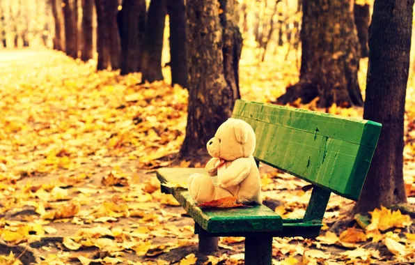 Картинка осень, листья, деревья, скамейка, фон, дерево, обои, настроения