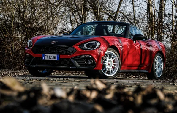 Ветви, родстер, спайдер, Abarth, чёрно-красный, 124 Spider, 2019, Rally Tribute