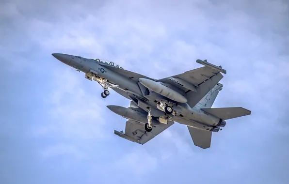 Картинка оружие, самолёт, F-18 Fighter