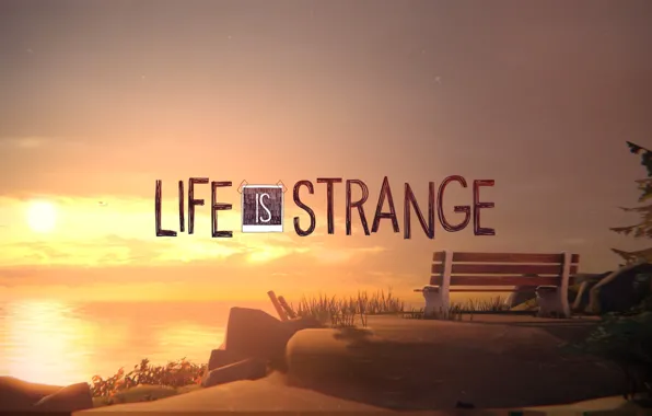 Лес, закат, лавочка, forest, sunset, bench, pier, Life is Strange