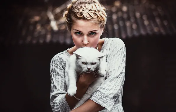Girl, Model, photo, cat, blue eyes, braid, bokeh, blonde