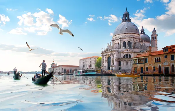 Картинка Вода, Дома, Италия, Венеция, Чайки, Italy, Venice, Santa Maria della Salute