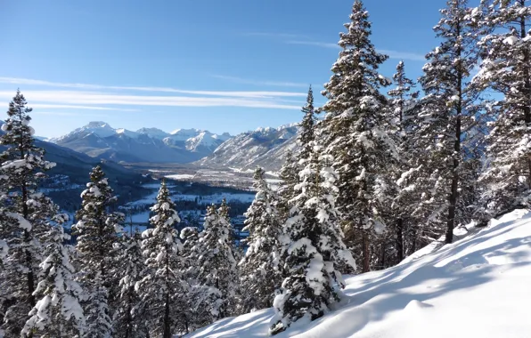 Зима, снег, деревья, горы, ели, долина, Канада, Альберта