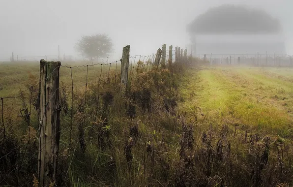 Картинка поле, туман, забор