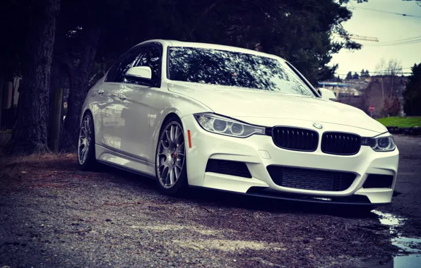 Картинка BMW, white, WHEELS, stance, f30