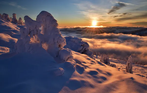 Картинка зима, солнце, облака, лучи, снег, деревья, пейзаж, закат