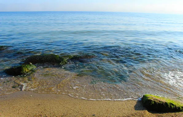 Beach, sea, stone