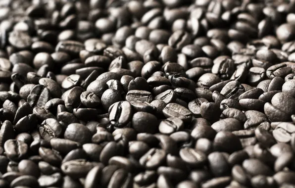 Фон, кофе, зерна, текстура, coffee