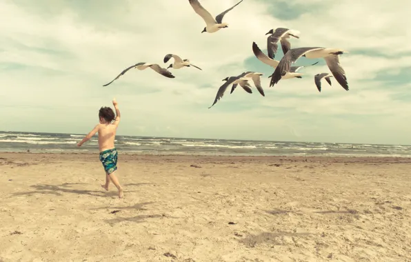 Волны, пляж, чайки, ребенок, waves, beach, child, seagulls