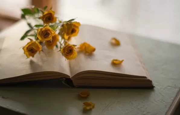 Цветы, Книга, Розы