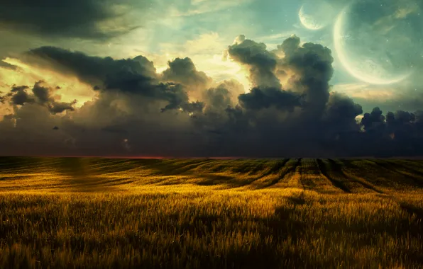 Картинка пшеница, поле, облака, пейзаж, природа, clouds, fields