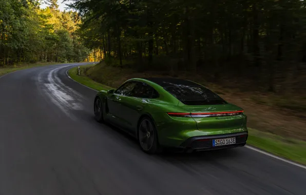 Картинка Porsche, Turbo S, лесная дорога, 2020, Taycan
