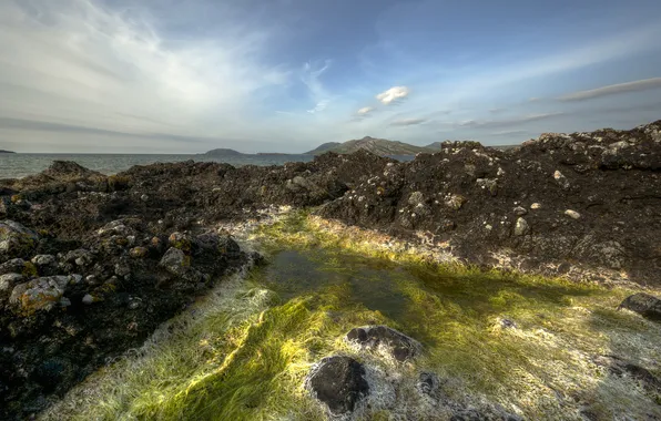 Горы, камни, Ирландия, Ireland, водросли, County Donegal, Portsalon Beach, Knockalla Bay