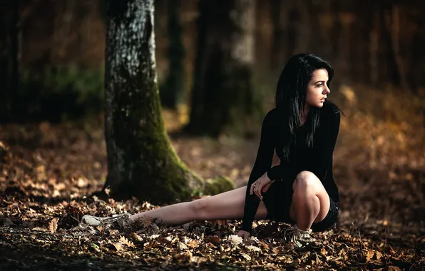 Картинка осень, лес, ножки, Arya, Laurent KC