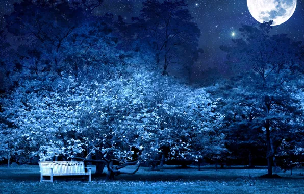 Картинка moon, blue, night, bench