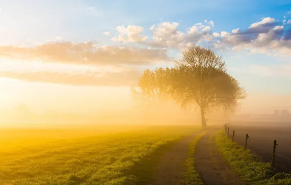 Дорога, пейзаж, природа, Follow the sun