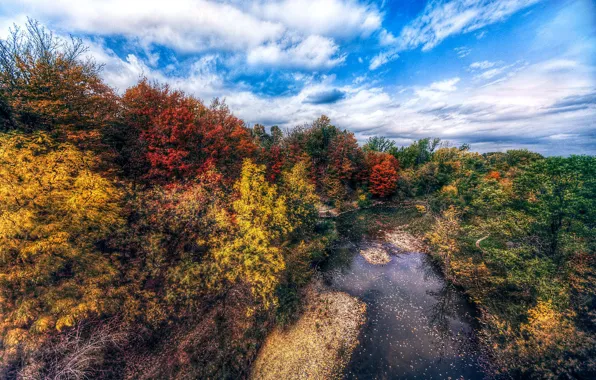 Autumn, leaves, autumn colors, pond, fall, foliage, fall colors, fall palette
