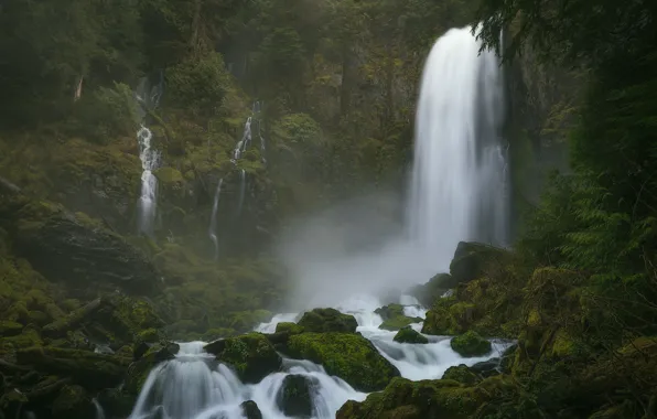 Лес, камни, мох, водопады, Columbia River Gorge, Washington State, Ущелье реки Колумбия, Штат Вашингтон