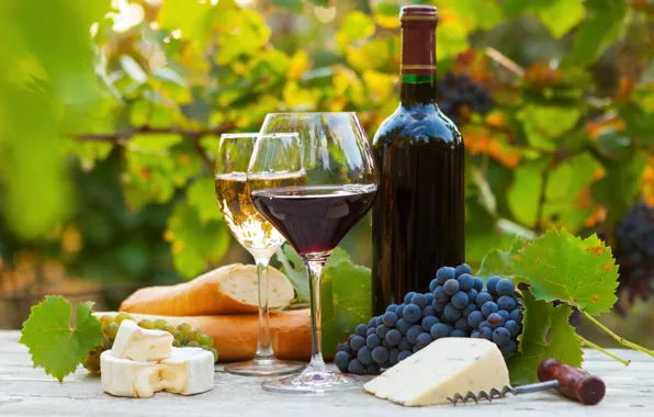 Вино, красное, белое, бутылка, сыр, бокалы, хлеб, виноград