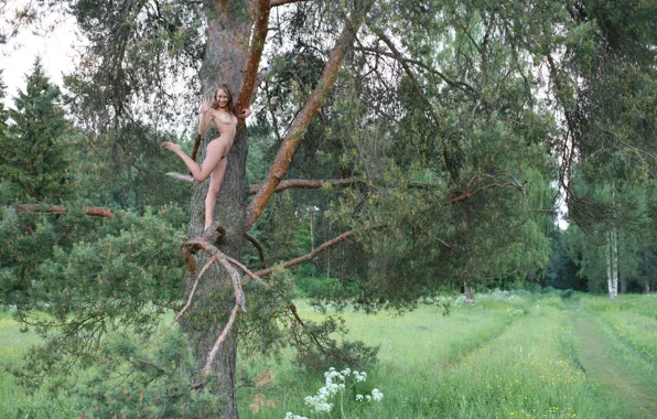Girl, grass, sexy, forest, erect nipples, long hair, legs, trees