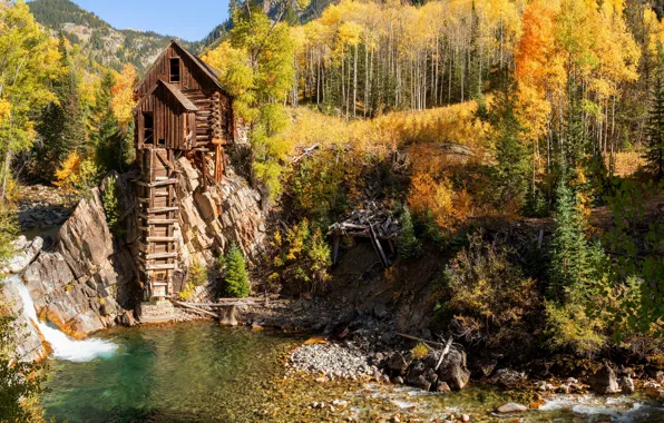 Осень, лес, свет, деревья, горы, камни, скалы, берег