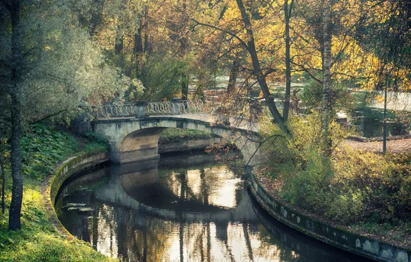 Картинка мост, природа, парк