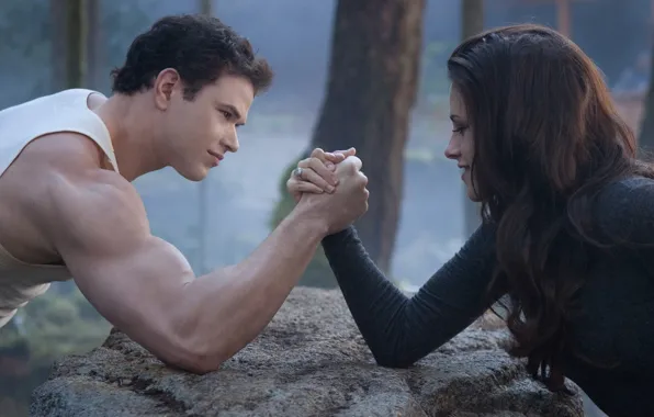 Белла, Сумерки Сага Рассвет, The Twilight Saga Breaking Dawn - Part 2, Эмет