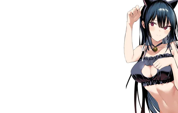Sexy, Anime, boobs, pretty, kitty, breasts, pose, Neko