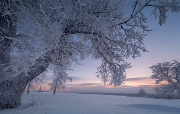 Картинка зима, снег, деревья, ветки, рассвет, крест, утро, Россия
