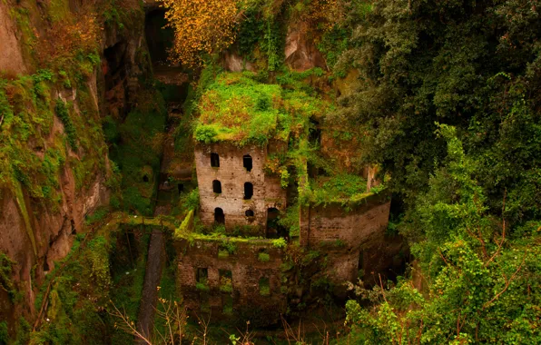 Картинка зелень, дом, здание, ущелье, руины, заброшенность, Sorrento