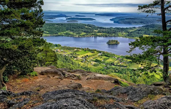 Озеро, панорама, Washington, заливы, Puget Sound, Пьюджет-Саунд, Campbell Lake, остров Фидальго