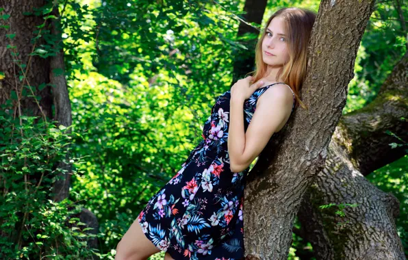 Forest, long hair, trees, nature, brunette, countryside, gorgeous, posing