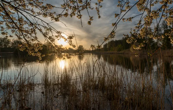 Картинка Германия, озеро, закат, North Rhine-Westfalia, Dulmen