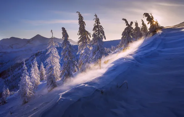 Картинка зима, солнце, свет, снег, природа, ветер, Мороз минус 43, Бурхалинский перевал
