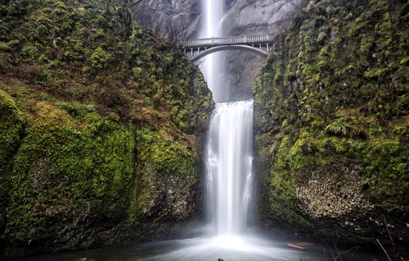Мост, скала, водопад, США, Oregon, Portland, Multnomah Falls