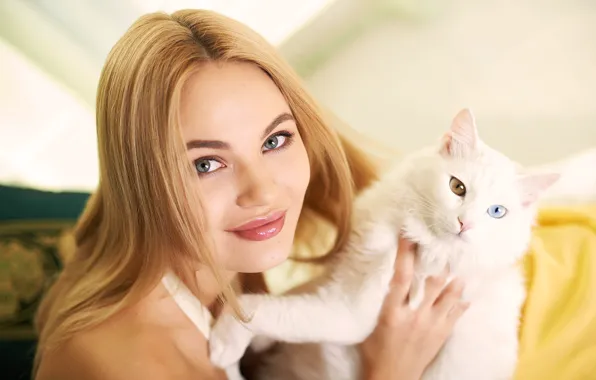 Кошка, глаза, кот, взгляд, девушка, лицо, милая, волосы