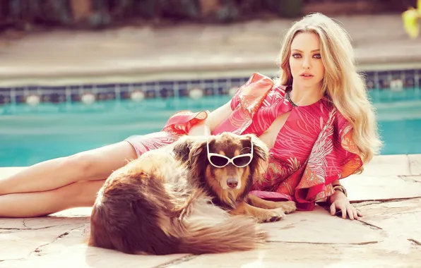 Взгляд, девушка, поза, собака, бассейн, Amanda Seyfried