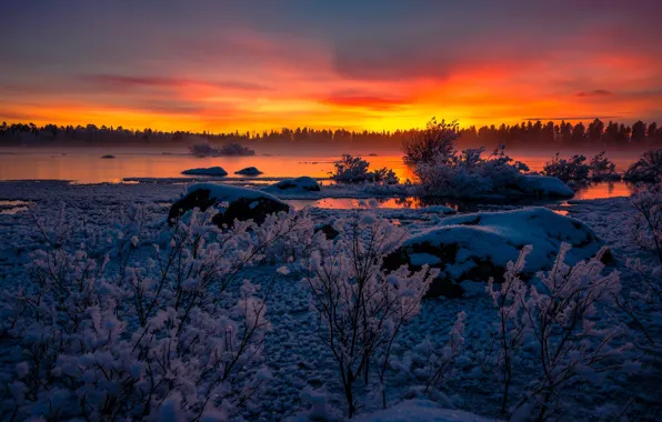 Зима, снег, закат, озеро, Швеция, кусты, Sweden, Lapland