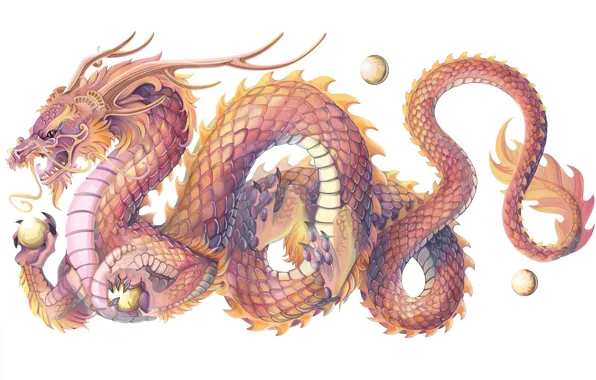 Картинка дракон, чешуя, символ