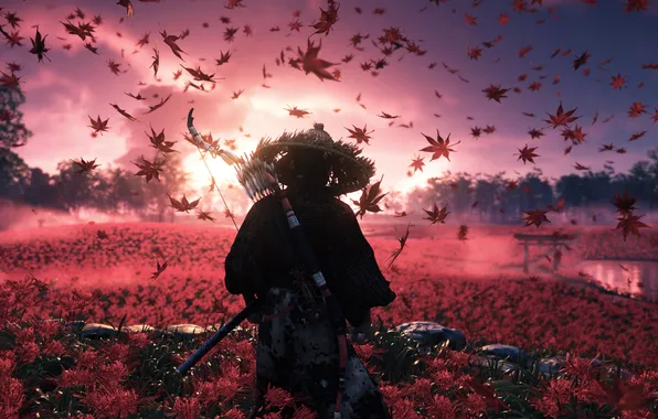 Картинка art, leaves, samurai