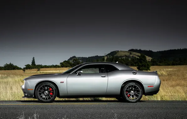 Поле, Дорога, Машина, Классика, Dodge, Challenger, Диски, Вид Сбоку