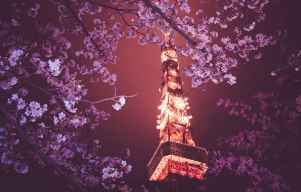 Деревья, огни, Париж, Эйфелева башня, Paris, France, Eiffel Tower