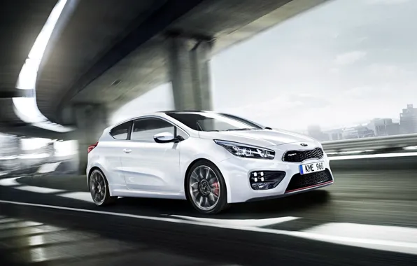 KIA, Pro Cee'd, пасть тигра, tiger nose
