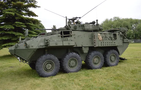Weapon, tank, armored, military vehicle, armored vehicle, armed forces, military power, 013