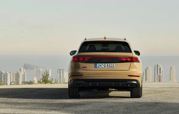 Картинка Audi, rear view, Q8, Audi Q8 2024