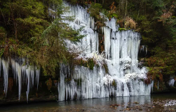 Лес, природа, водопад, сосульки