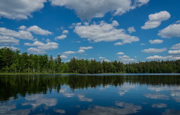 Картинка лес, облака, озеро, отражение, Швеция, Sweden, Möljeryd