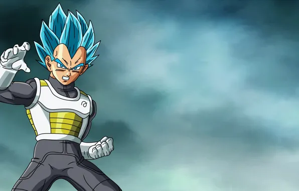 DBS, alien, anime, power, martial artist, warrior, manga, powerful